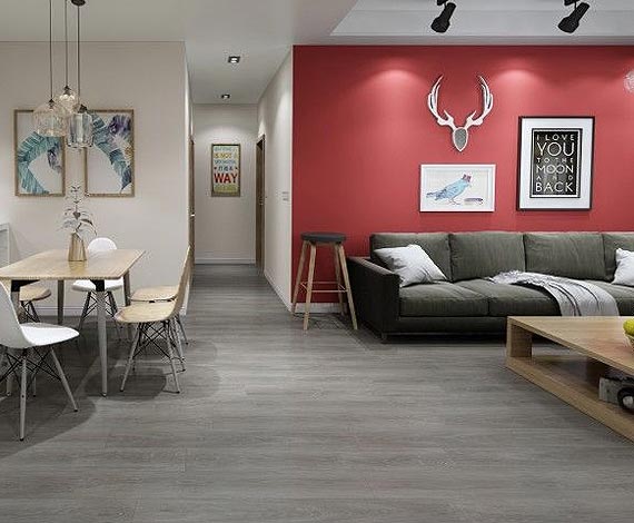 Clearance & Specials