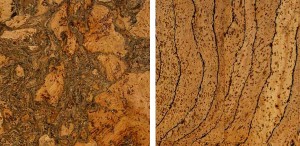 Image courtesy by ecofriend.com