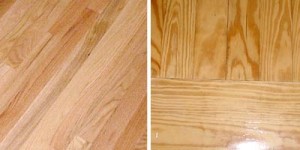 Image courtesy by tlc.howstuffworks.com