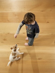 Image courtesy by odiesoil.com