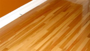 Image courtesy by: mnn.com