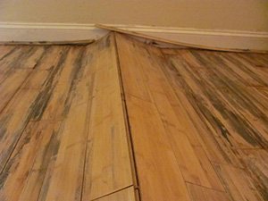 Edge Lipping on Wood Floors